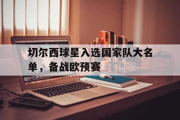 切尔西 球星